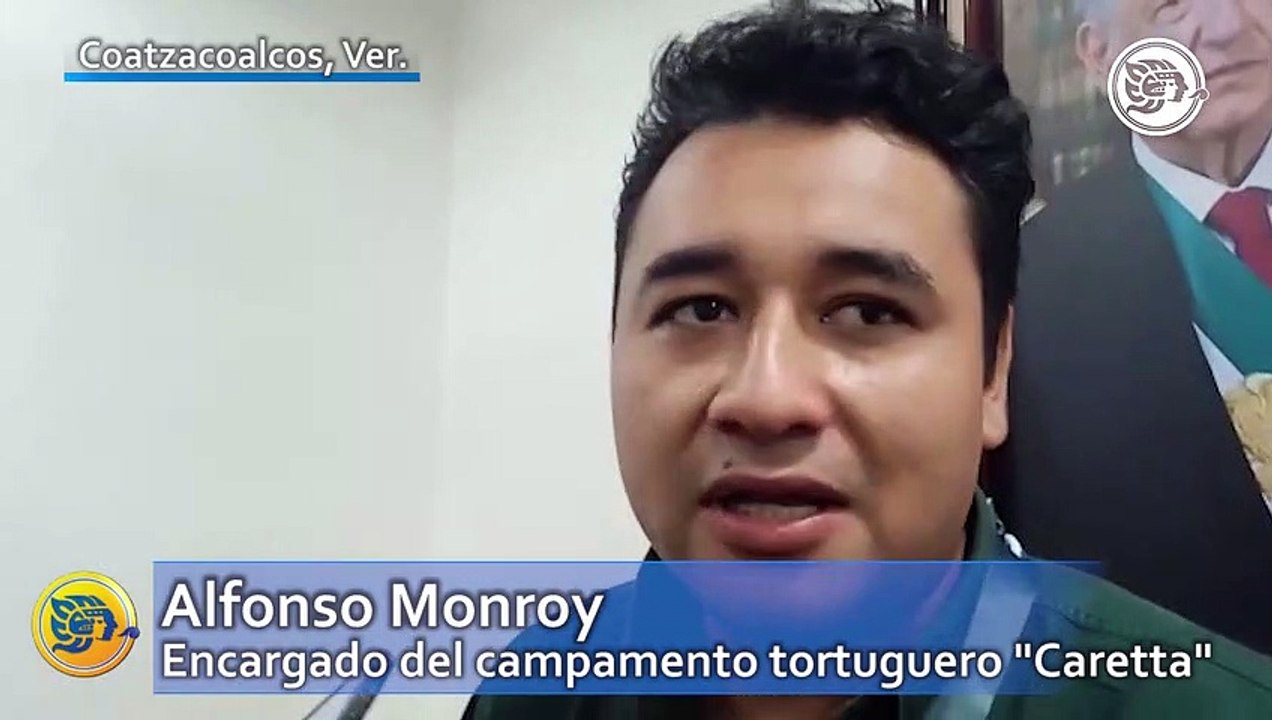 Persiste saqueo de huevos de tortugas en el sur