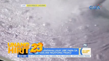 Chef JR Royol, mapapahalukay ube para sa kitang P200,000 ngayong Pasko | Unang Hirit