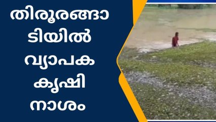 നെൽകൃഷി വെള്ളത്തിൽ; നെഞ്ചിടിപ്പോടെ കർഷകർ