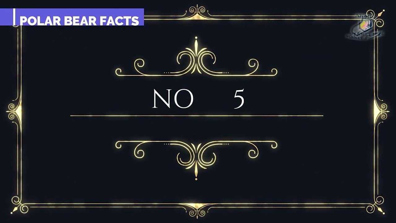 POLAR BEAR FACTS   POLAR BEAR INFORMATION IN HINDI URDU ANIMAL VIDEO ANIMAL PLANET PK