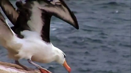 Kịch chiến chúa tể bầu trời và hung thần đại dương