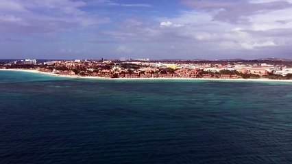 Đại bàng bị thương vẫn cố chiến đấu với ...