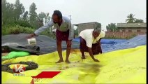 Warangal Farmers Struggle Over Delay Of Paddy Procurement  _ V6 News