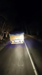കാട്ടാന ചരക്ക് ലോറി ഇടിച്ചു ചരിഞ്ഞു.