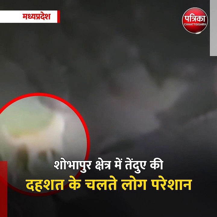 शोभापुर क्षेत्र में तेंदुए की दहशत के चलते लोग परेशान