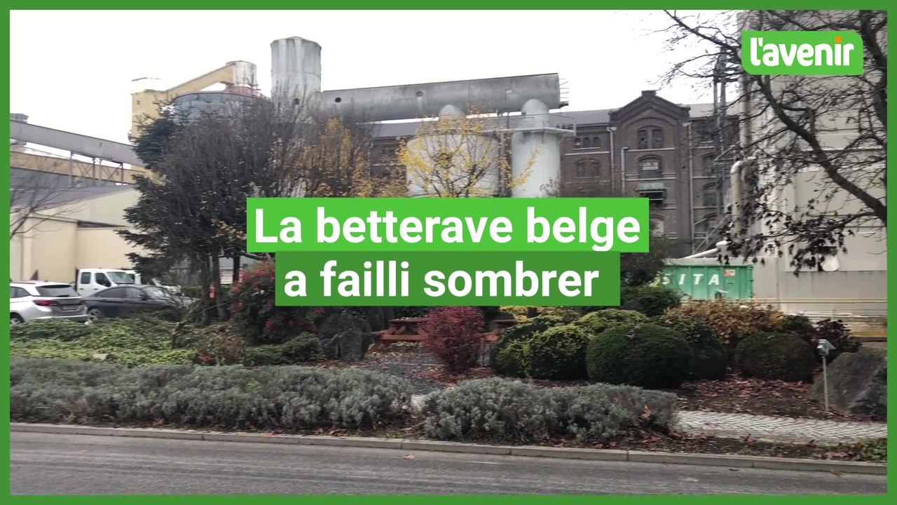 La betterave belge a failli sombrer