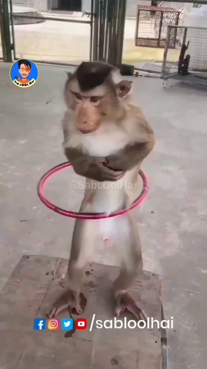 Funny manky Patli kamariya   #kamariya#patli#letest#jokes#memes