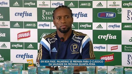 Zé Roberto destaca ano do Palmeiras em ‘ótimo momento’