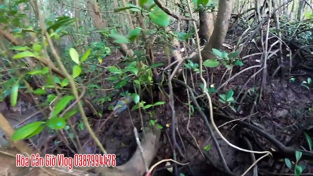 KHÁM PHÁ ĐỊA ĐIỂM MỚI TIẾP TỤC HÀNH TRÌNH BẮT CUA MƯU SINH