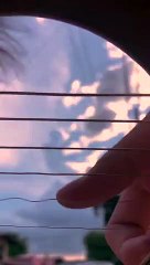 best friend __ rex orange county _ guitar fingerstyle cover