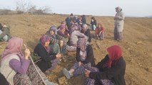 AKP’li vekil araziler değerlenecek dedi, köylüler cevap verdi: Arazi mi kaldı?