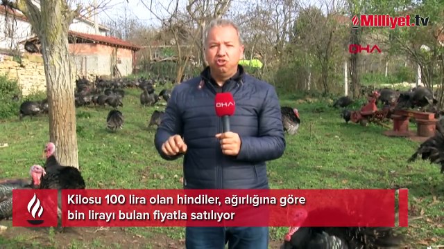 Yılbaşı öncesi hindinin fiyatı, kilosuna göre bin lirayı buluyor