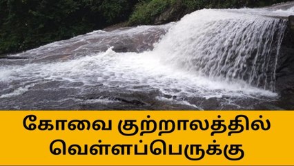 கோவை குற்றாலத்தில் வெள்ளப்பெருக்கு-சுற்றுலா பயணிகளுக்கு தடை!