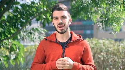 Expulsões no Tricolor, Borja supera marca, Cittadini deve deixar o Peixe e Timão na Copa do Brasil