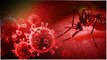 Zika Virus కేసు నమోదు.. దోమలే ఈ వైరస్ కి కారణం... *Karnataka | Telugu OneIndia