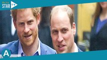 Le prince William grand frère protecteur avec Harry : ce jour où il a sorti les griffes