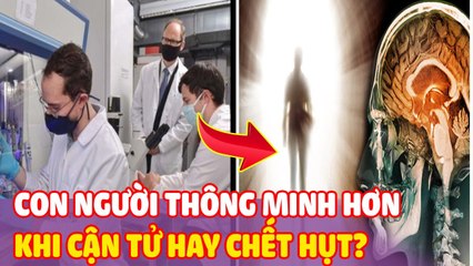 Thật bất ngờ: Con người trải qua “CẬN TỬ” hay “CHẾT HỤT” sẽ thông minh hơn | Thiệt Bất Ngờ