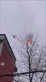 Ce drone lance-flammes détruit les nids de frelons à distance