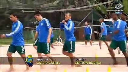 Com acesso garantido, Palmeiras planeja reforços para o centenário
