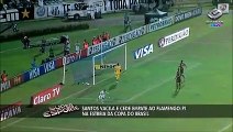 Assista aos gols do empate entre Flamengo-PI e Santos