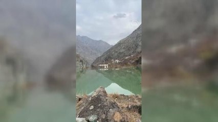 Yusufeli'nde su altında kalacak köyde mahsur durumdaki köpek botla kurtarıldı