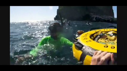 WoeBeGone Free Divers | 14 December 2022 | Illawarra Mercury