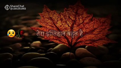 Anmol Vichar: Inspiring Thoughts 💭