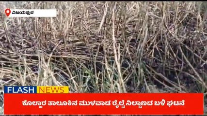 ವಿಜಯಪುರ: ಬೆಂಕಿ ಅವಘಡದಿಂದ ಸುಟ್ಟು ಕರಕಲಾದ ಕಬ್ಬು