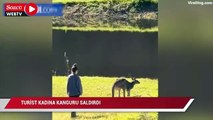 Turist kadına kanguru saldırdı, görüntüleri sosyal medyada olay oldu