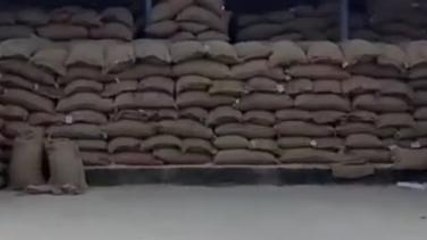 रीवा: धान परिवहन में लापरवाही पर कलेक्टर की सख्ती, लगाया 16.68 लाख का जुर्माना