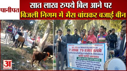 Unique Demonstration Against Power Corporation In Panipat|बिजली निगम में भैंस बांधकर बजाई बीन
