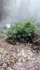 La cascada de La Toba (Soria), espectacular