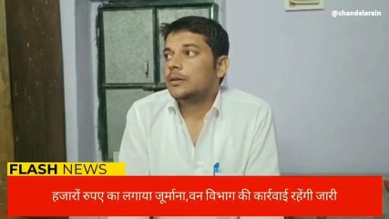 अजमेर : वन विभाग की सख्ती से अवैध लकड़ी परिवहनकर्ताओं में हड़कंप,देखिए खबर