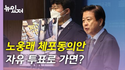 [뉴있저] 막 오른 與 전대 '룰 전쟁'...野, 노웅래 체포 동의안 고심 / YTN