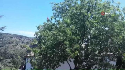 Şeyh Edebali Türbesi'nin 2022 yılında 1 milyon kişi ziyaret etti