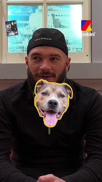 On sait ce que Jul aime le plus dans la vie ! Alors le J, tu préfères Zizou ou Fifa ?