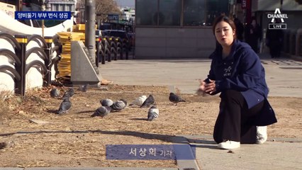 토종 비둘기는 멸종위기?…‘양비둘기’ 부부 번식 성공