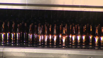 La gama de cervezas española más premiada del mundo bate récords en los certámenes internacionales