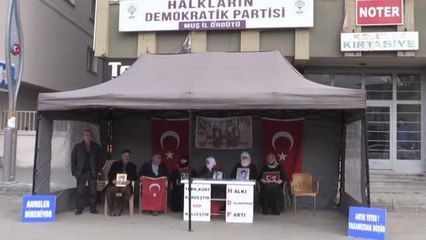 Tải video: Muş'ta çocuklarını terör örgütünden kurtarmak için eylem yapan aile sayısı 43'e yükseldi