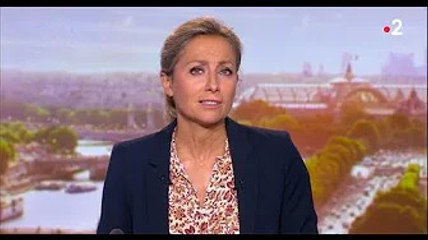 JT 20H : Anne-Sophie Lapix stoppée en direct par un problème avant l’annonce de son remplaçant sur