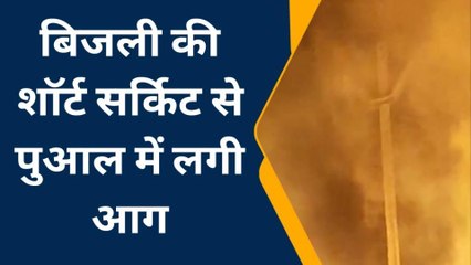 अररिया: धान के पुआल में लगी आग, आग की लपटें छू रही है आसमान...LIVE VIDEO