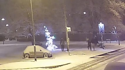 Gang of ‘Grinches’ drag town’s Christmas tree to floor