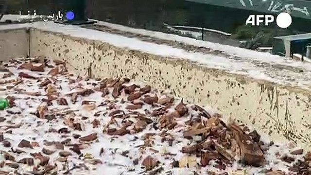 طبقة رقيقة من الثلوج تغطي باريس