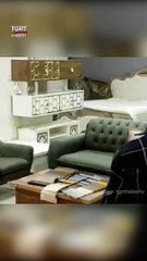 Bahçedeki Tavukları Yiyen Vaşak Mağazaya Kaçtı #shorts