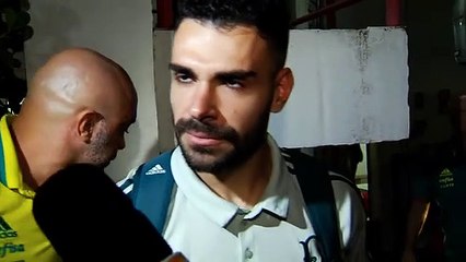 Palmeiras zona mista