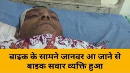 मुंगेर: बांक में बाइक के सामने जानवर आ जाने से बाइक सवार व्यक्ति घायल