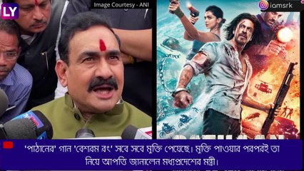 Pathaan \'দূষণ\' ছড়াচ্ছে, ক্ষোভ মন্ত্রীর