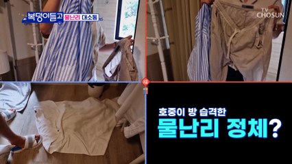 한밤중에 호중이에게 엄청난 일이?! TV CHOSUN 221214 방송