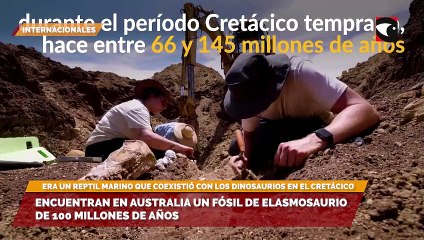 Encuentran en Australia un fósil de elasmosaurio de 100 millones de años