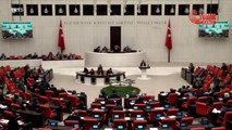 Gülizar Biçer Karaca, Cumhurbaşkanı Erdoğan'ın Açıklamalarını Eleştirdi: 